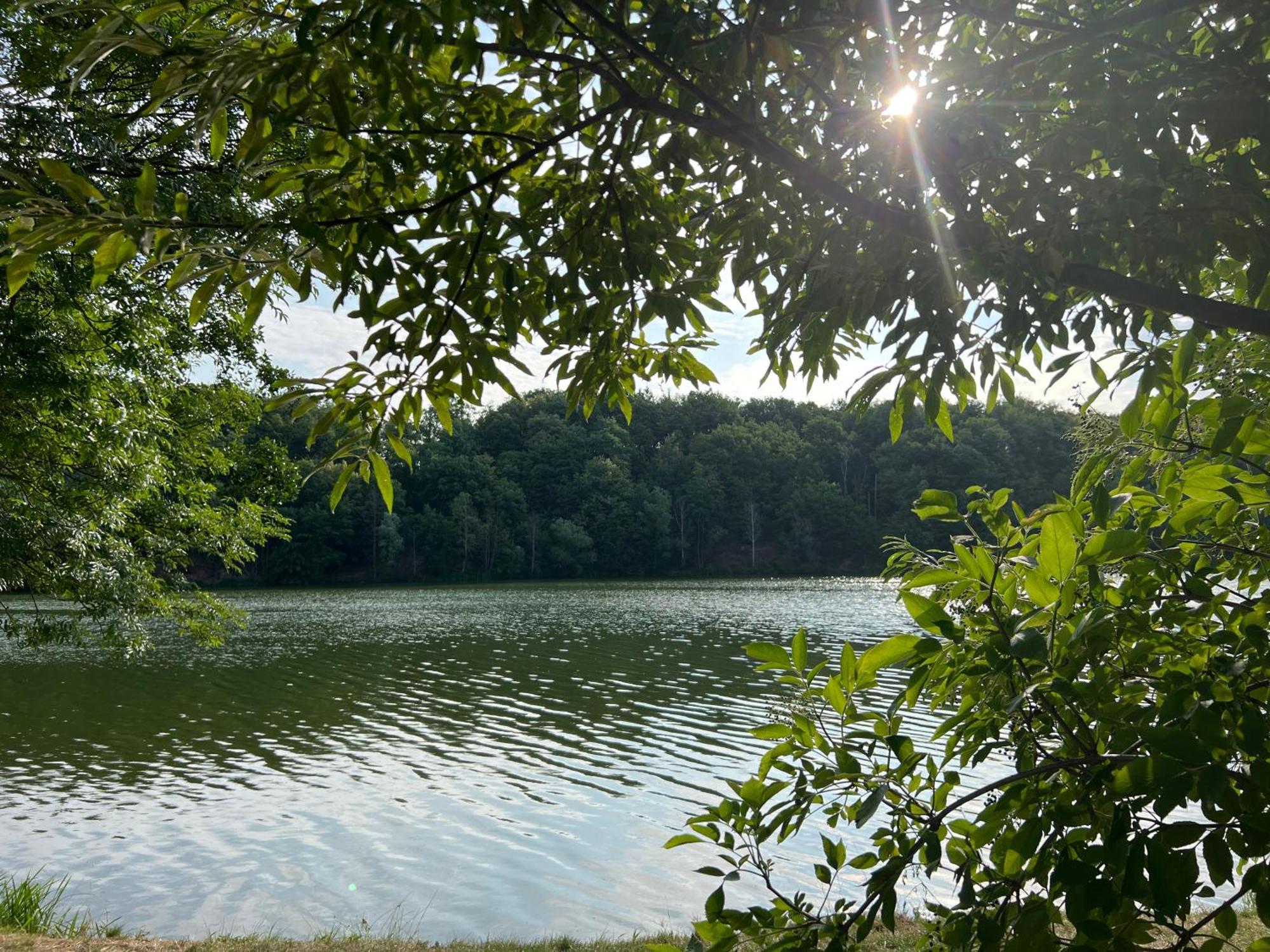Ferienwohnungen Brenner Einchecken Und Wohlfuehlen Langenbernsdorf Exteriér fotografie